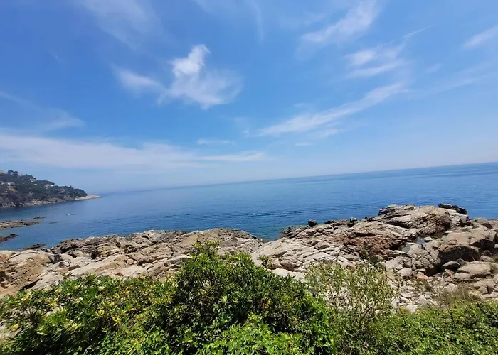 Playa Canadell Mar P Primera Linea De Mar Con Terraza - Wehost Costa Brava Lejlighed *