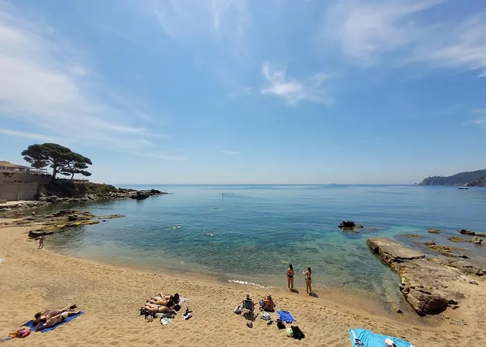 아파트 Playa Canadell Mar P Primera Linea De Mar Con Terraza - Wehost Costa Brava